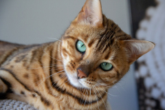 Lightroom-4417-21.10.39