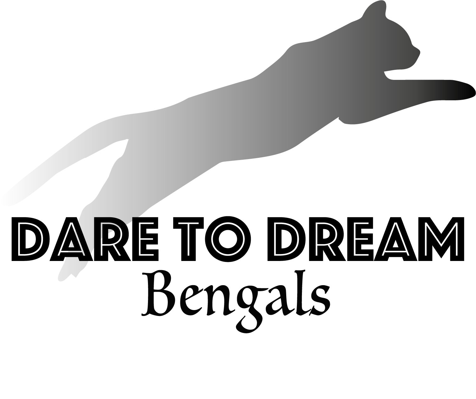 Dare to Dream Bengals